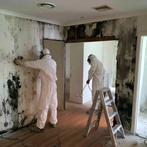 Mold & Asbestos services by Arden Projects